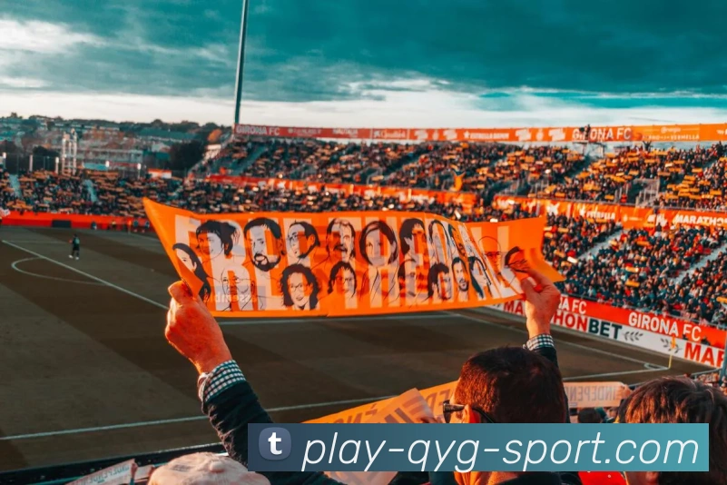 奇异果体育发展历程